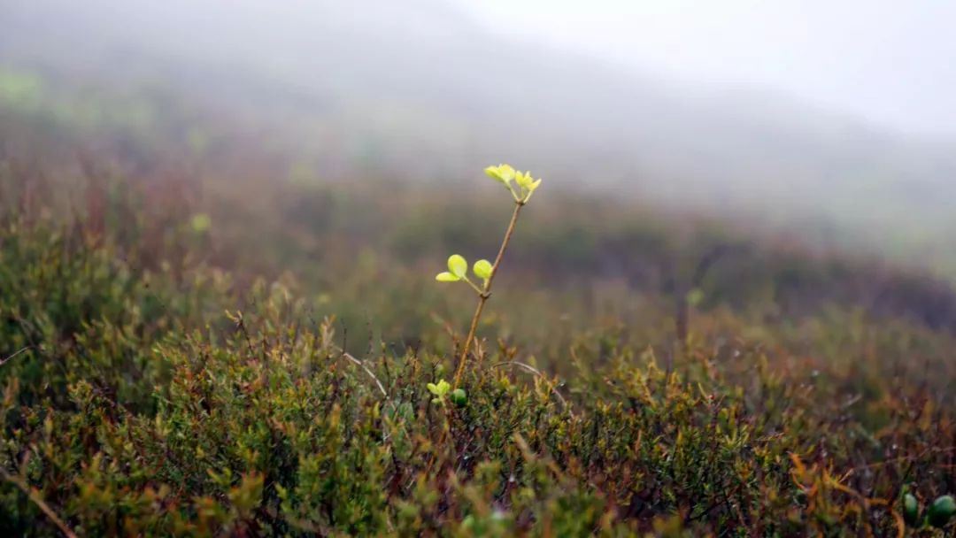 來爸媽在線學習后,我孩子的終生大事問題解決了! 來爸媽在線學習后,我孩子的終生大事問題解決了!