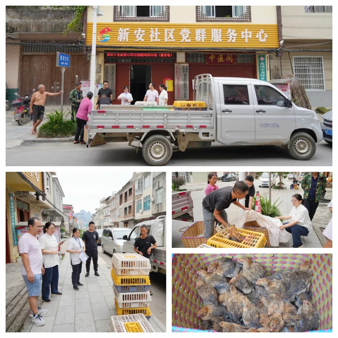 1728520762472322.jpg 1728520762472322.jpg