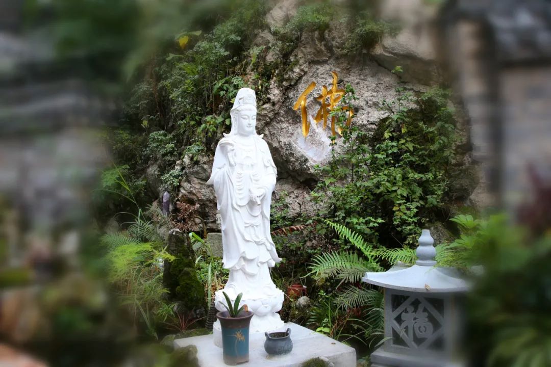 1729730818462642.jpg 640 (11).jpg