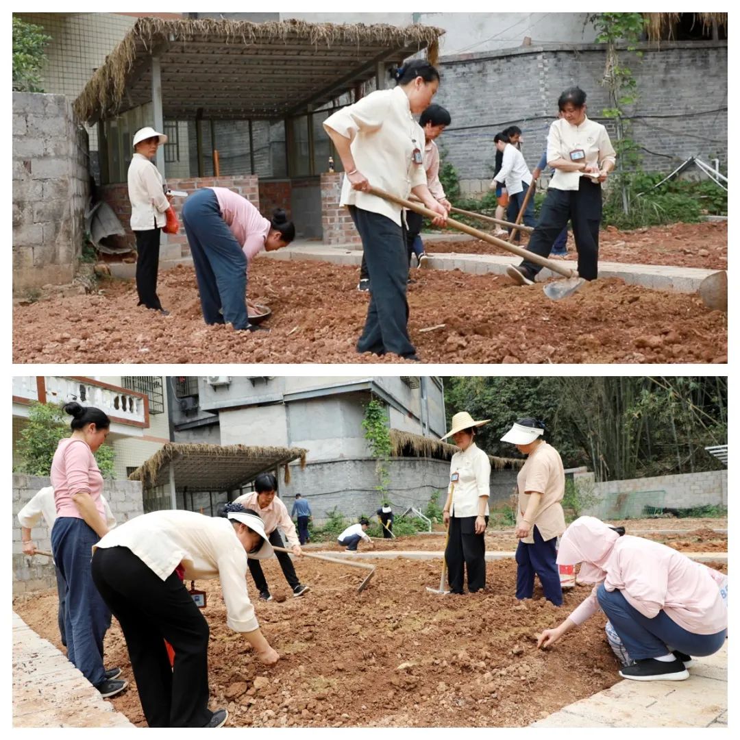 1744503265861797.jpg 1744503265861797.jpg