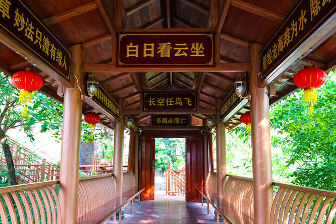 1754266427132228.jpg 4R6A9929.jpg