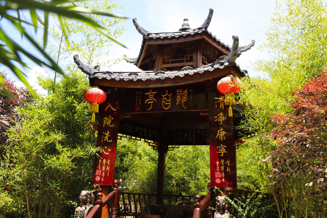 1756799217746171.jpg IMG_0821.JPG