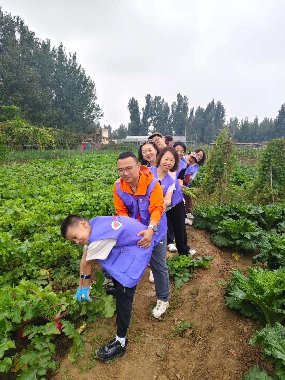 1760431246194804.jpg 1760431246194804.jpg